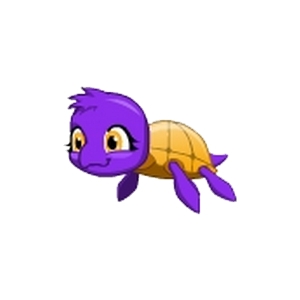 Evilia the Turtle